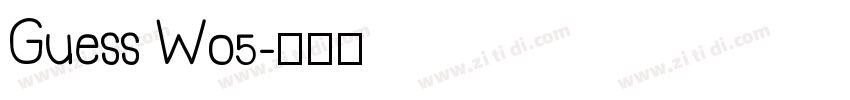 Guess W05字体转换